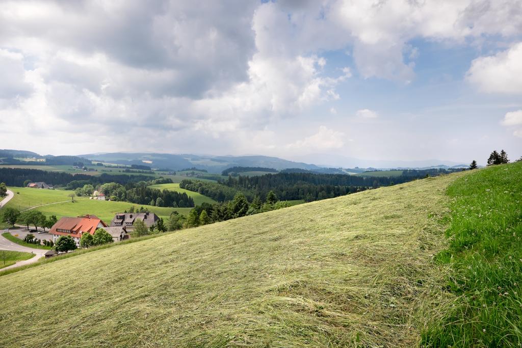 Sonne Neuhaeusle 3* Sankt Märgen